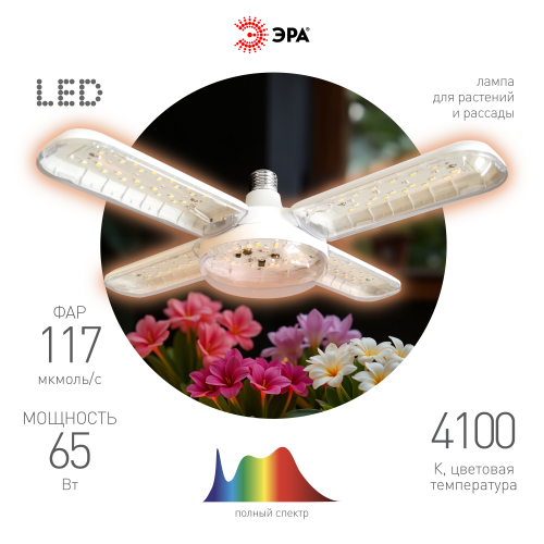 Фитолампа ЭРА GREEN LINE ФИТО-65W-PFR-E27-GR 5-ти лепестковая полного спектра 65 Вт Е27