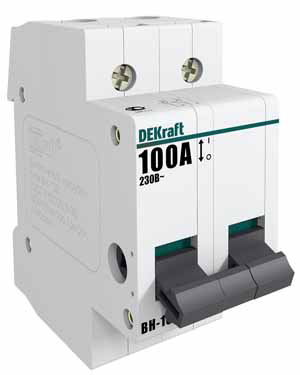 17008DEK-BH102-2P-100A выкл.нагрузки