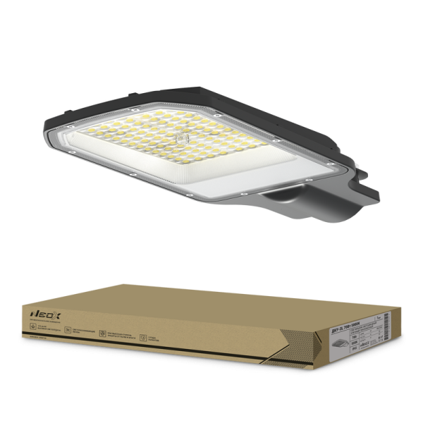 Светильник уличный линзованный ДКУ-2L 70Вт 230В 5000К 8750Лм 125лм/Вт 42-48мм IP65 NEOX